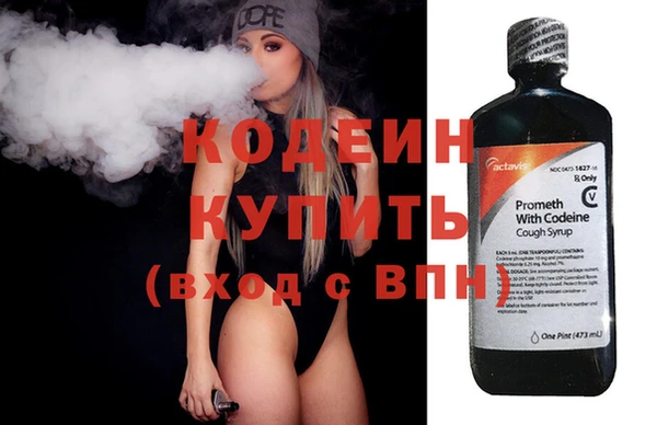 шишки Новозыбков