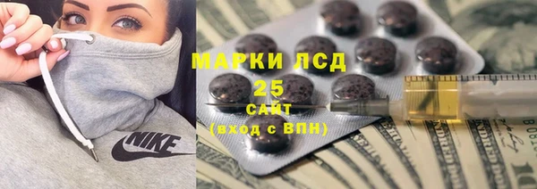 spice Новодвинск