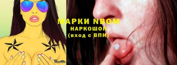 spice Новодвинск