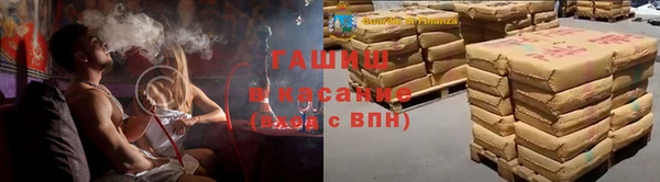 шишки Новозыбков