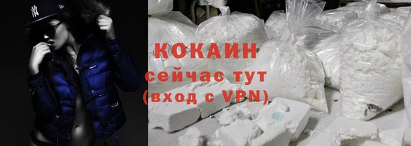 шишки Новозыбков