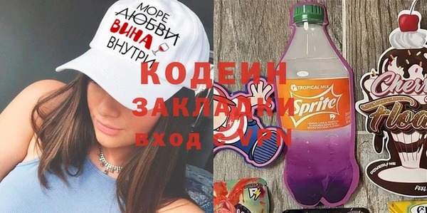 шишки Новозыбков