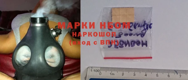 шишки Новозыбков
