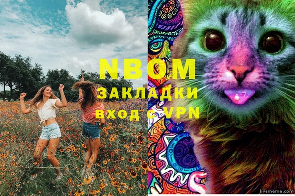 дмт Новокубанск