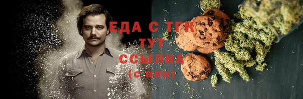 шишки Новозыбков