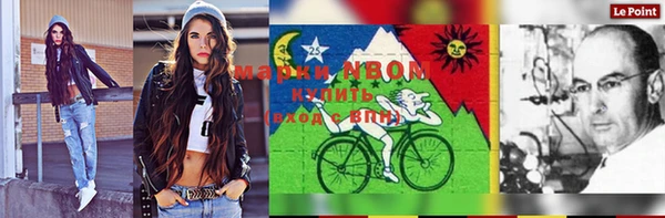 spice Новодвинск