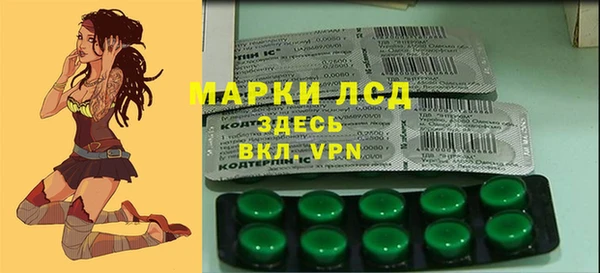 spice Новодвинск