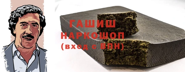 шишки Няндома