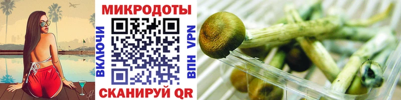 Псилоцибиновые грибы Psilocybine cubensis  Нововоронеж 