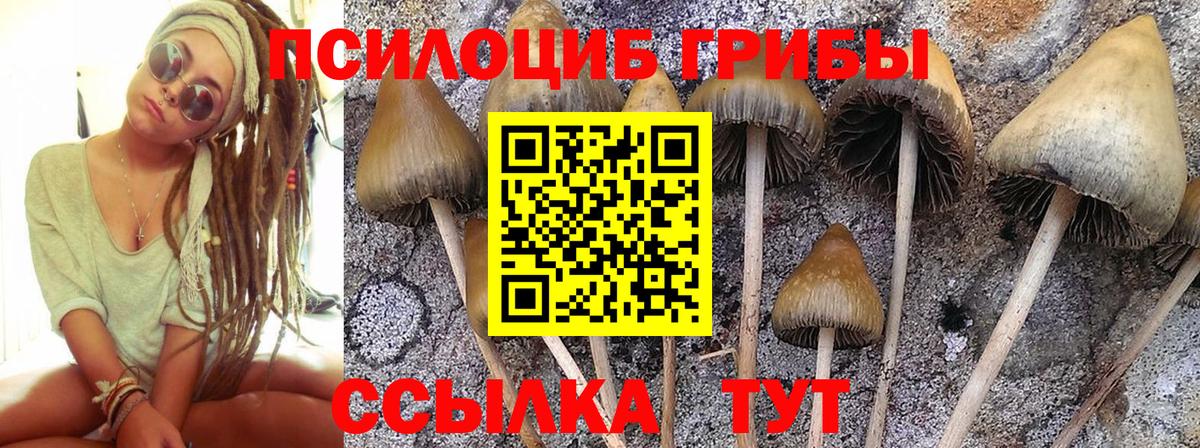 Псилоцибиновые грибы мицелий  Вход с VPN  Нововоронеж 