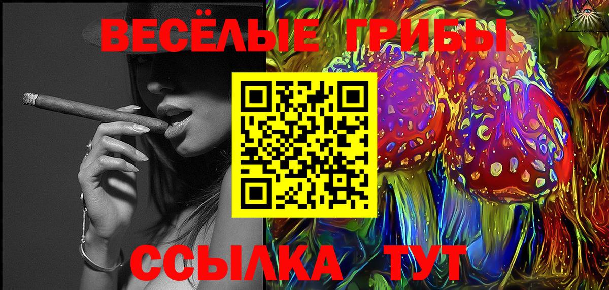 Псилоцибиновые грибы прущие грибы Нововоронеж