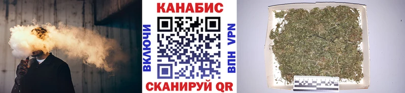 где продают наркотики  Нововоронеж  Конопля гибрид 